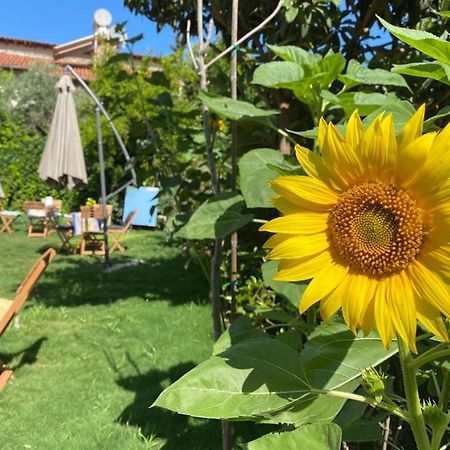 Lemon-Ada Butik Otel Kusadası Eksteriør billede