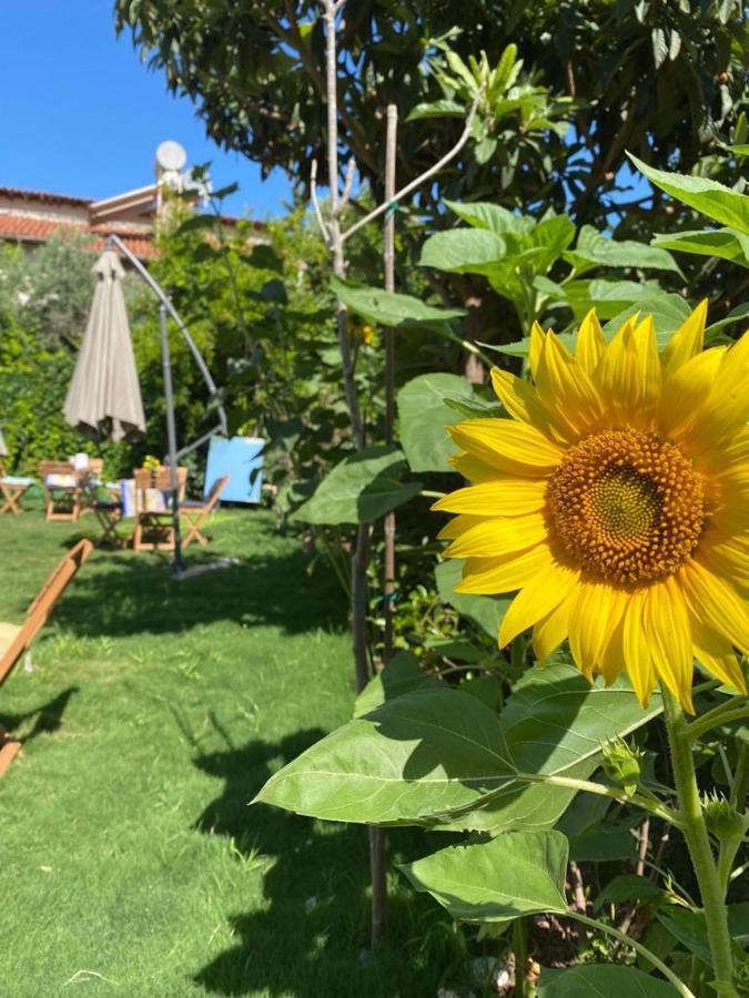 Lemon-Ada Butik Otel Kusadası Eksteriør billede